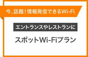 スポットWi-Fiプランの説明画像